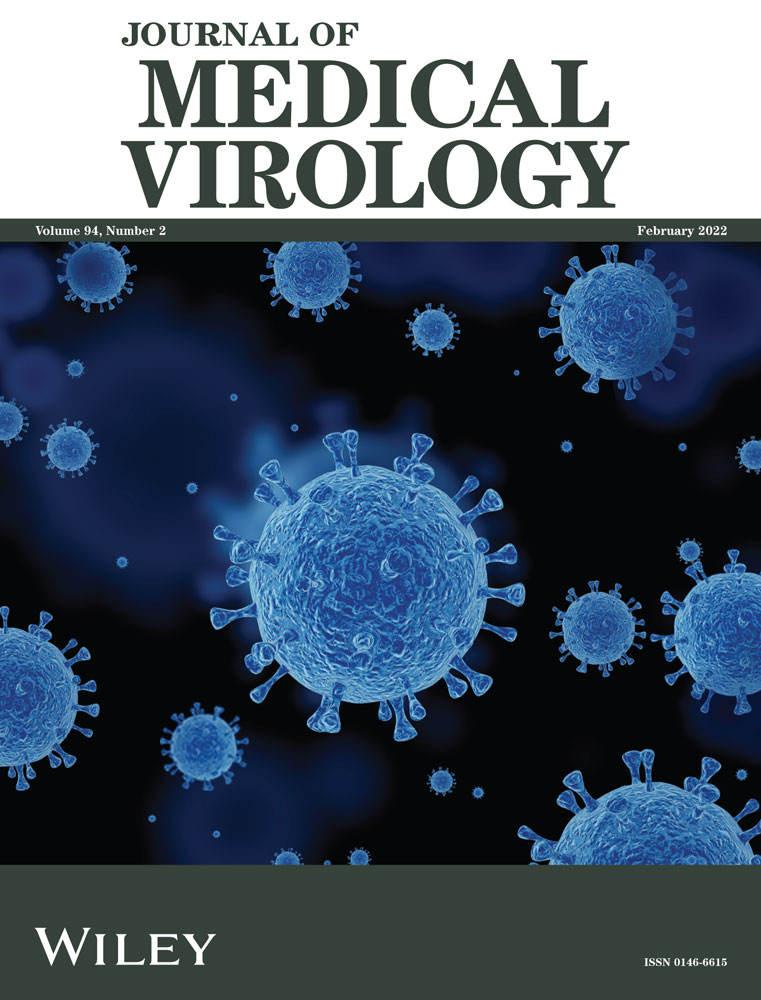 The endogenous factors affecting the detection of serum SARS‐CoV‐2 IgG/IgM antibodies by ELISA