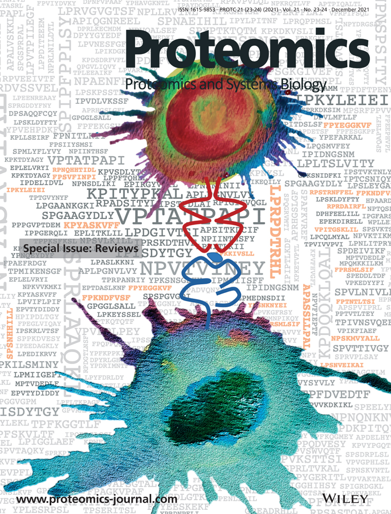 Analytical comparison of absolute quantification strategies to investigate the Insulin signaling pathway in fat cells