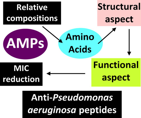Structure‐activity trend analysis between amino‐acids and minimal inhibitory concentration of antimicrobial peptides