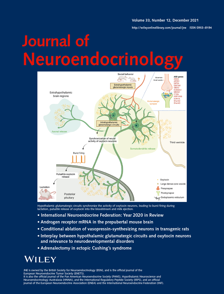 Cannabinoid and vanilloid pathways mediate opposing forms of synaptic plasticity in corticotropin‐releasing hormone neurons
