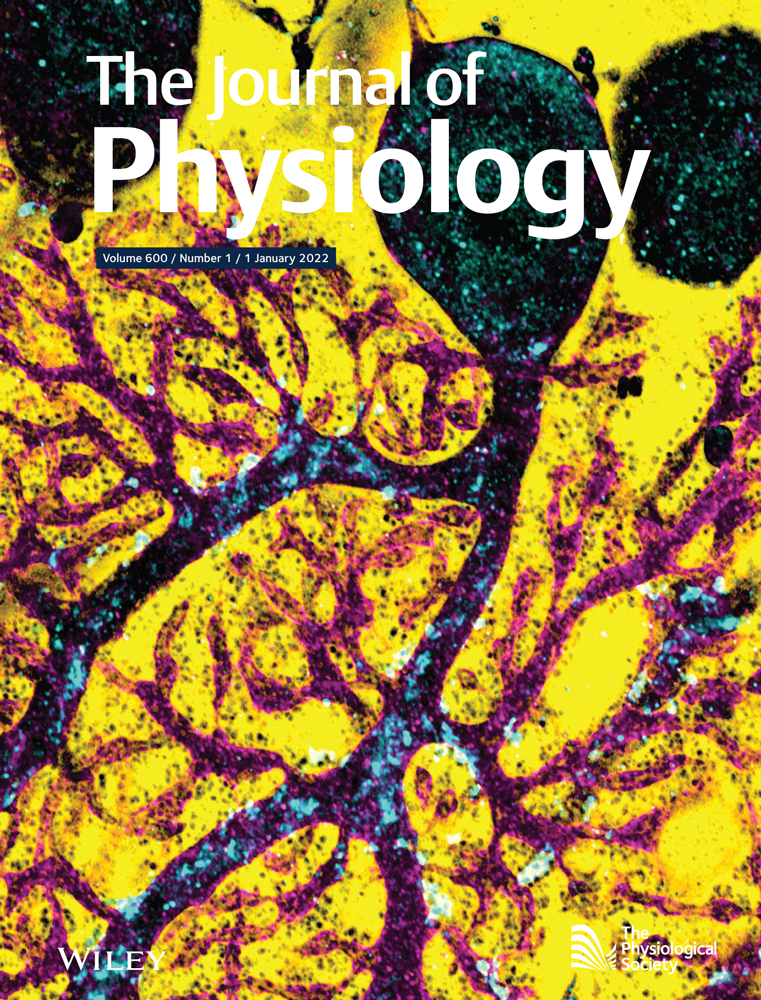 Mixed SYGnals in potassium channels: A mechanism for alternate ion conduction in human Kir3.2 channel mutations