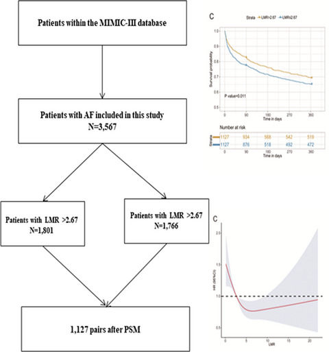 Predictive value of lymphocyte‐to‐monocyte ratio in critically Ill patients with atrial fibrillation: A propensity score matching analysis