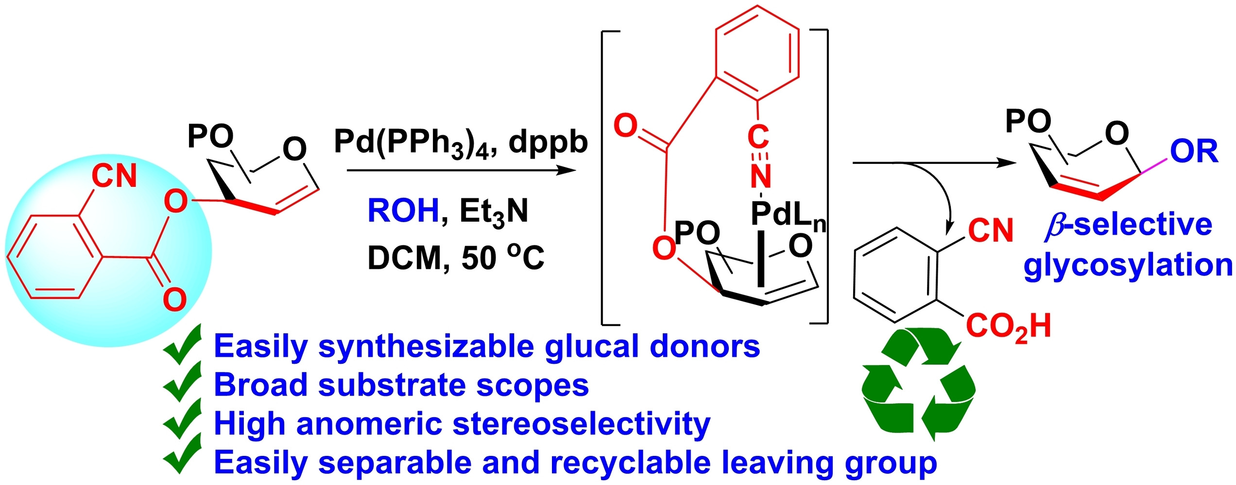o‐Cyanobenzoate: A Recyclable and Reusable Stereo‐directing Group for β‐O‐Glycosylation via Pd(0)‐catalyzed Ferrier Rearrangement