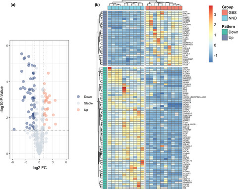 Potential biomarkers identified by tandem mass tags based quantitative proteomics for diagnosis and classification of Guillain–Barré syndrome