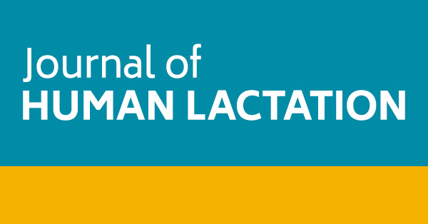 Reducing Lactation Support Disparities for a Marginalized Community Through a Policy, Systems, and Environmental Change Approach: A Case Study in Michigan