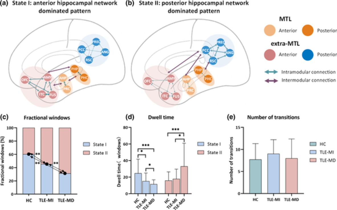 Dynamic functional connectivity in modular organization of the hippocampal network marks memory phenotypes in temporal lobe epilepsy