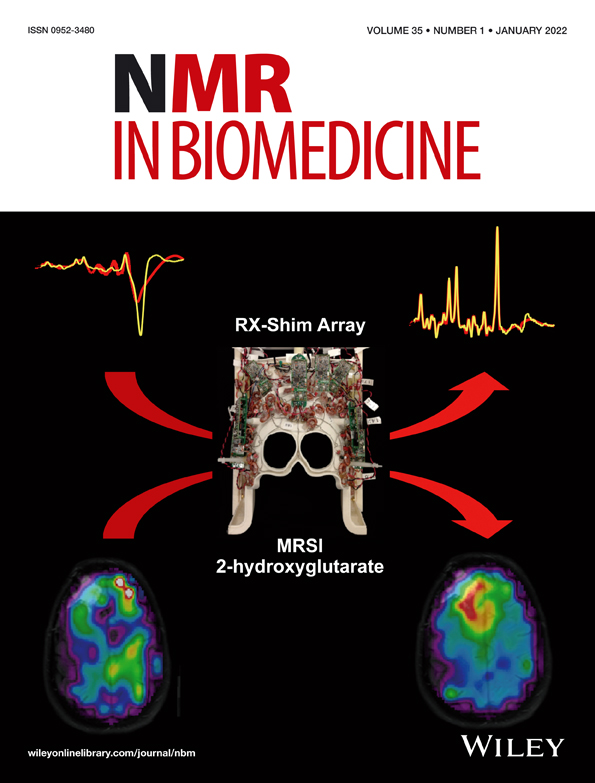 A roadmap to high‐resolution standard microcoil MAS NMR spectroscopy for metabolomics