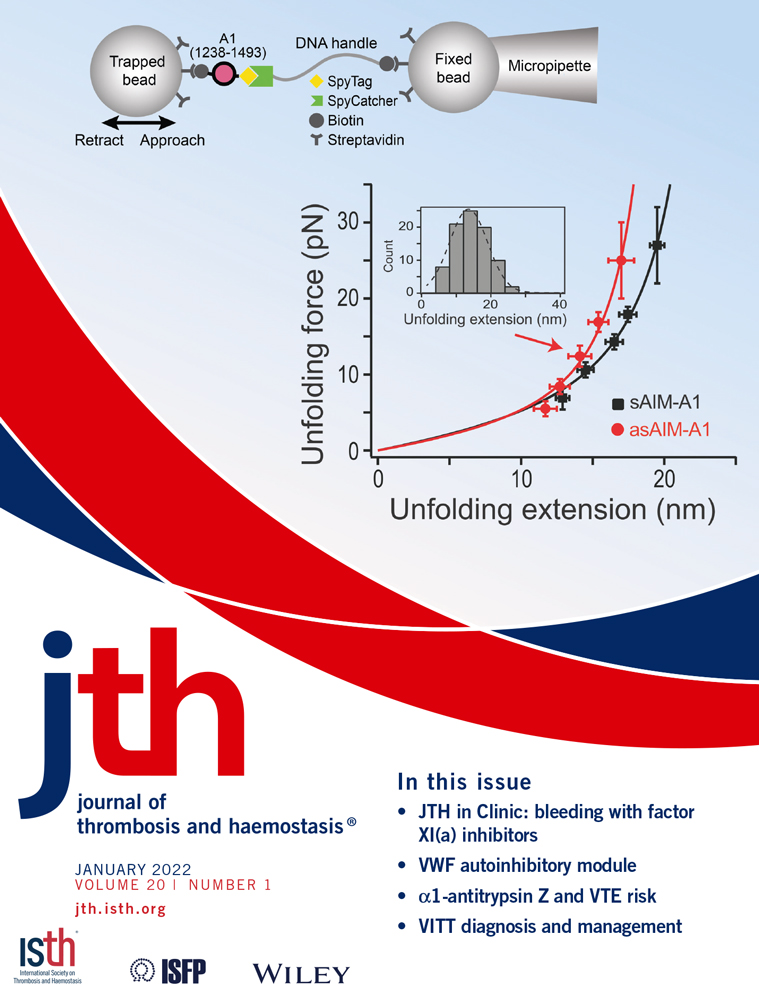 Effect of heparanase inhibitor on tissue factor overexpression in platelets and endothelial cells induced by anti‐β2‐GPI antibodies: Reply to comment from Mackman et al.