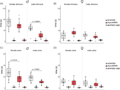 Knockdown of sexually differentiated vasopressin expression in the bed nucleus of the stria terminalis reduces social and sexual behaviour in male, but not female, mice