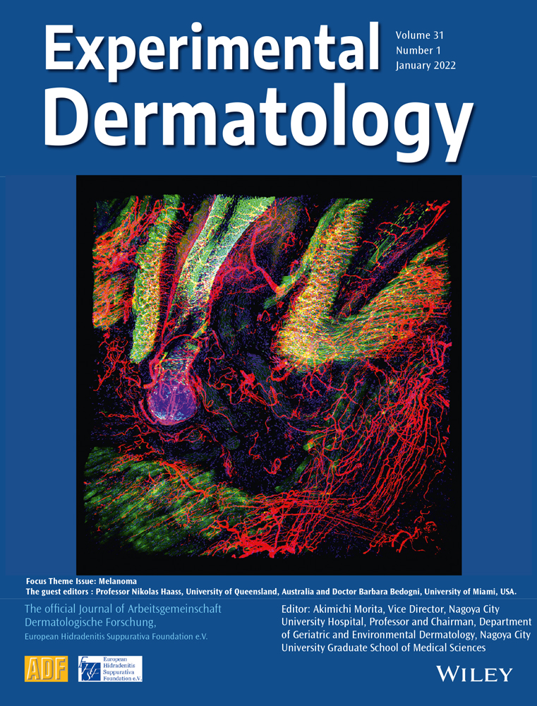 Biomarkers in melanoma and non‐melanoma skin cancer prevention and risk stratification