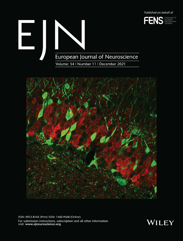 Single gene polymorphisms as a predictor of non‐invasive brain stimulation effectiveness (commentary on Pellegrini et al, 2021).