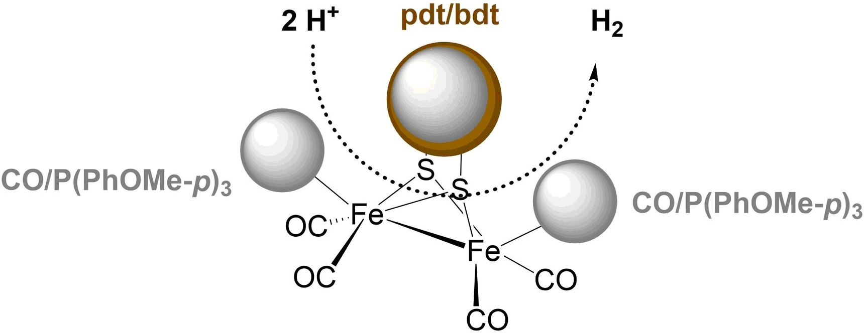 Mechanism of Diiron Hydrogenase Complexes Controlled by Nature of Bridging Dithiolate Ligand