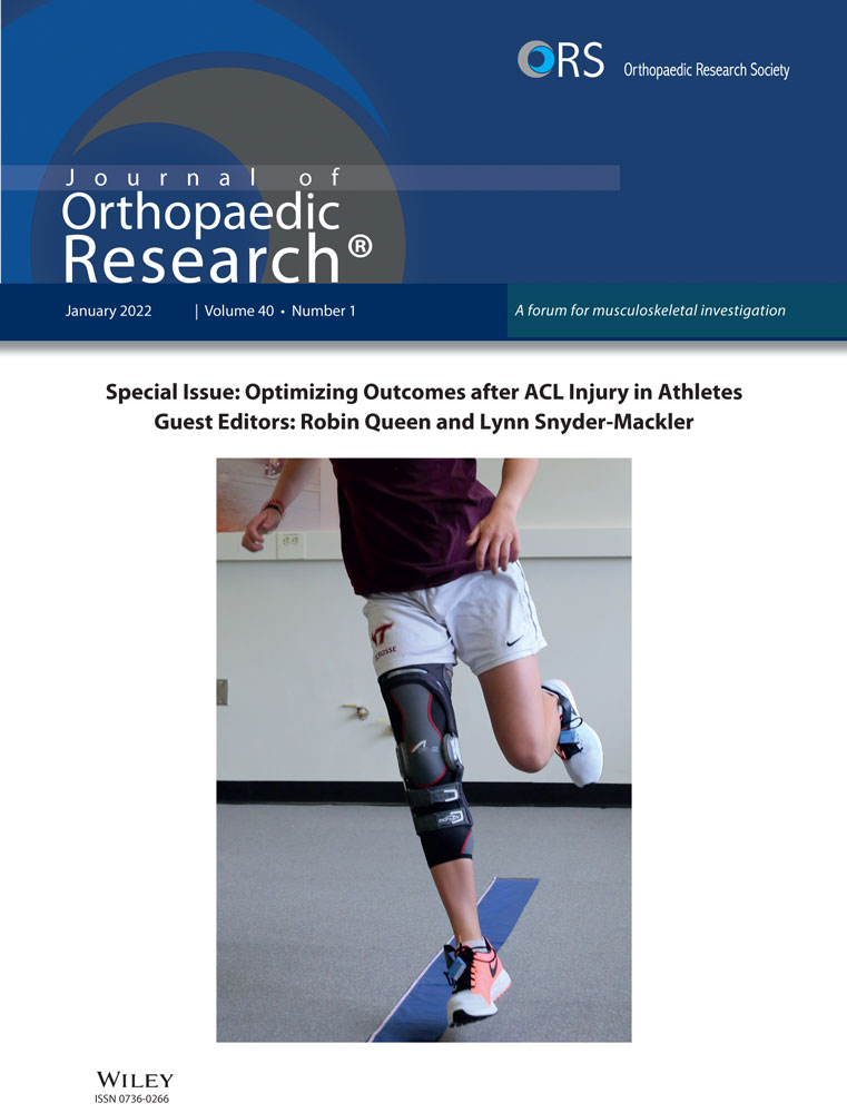 Infrapatellar fat pad volume and Hoffa‐synovitis after ACL reconstruction: Association with early osteoarthritis features and pain over 5 years