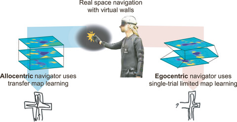 Bayesian models of human navigation behaviour in an augmented reality audiomaze