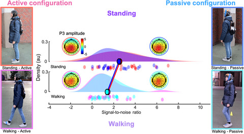 Does the electrode amplification style matter? A comparison of active and passive EEG system configurations during standing and walking