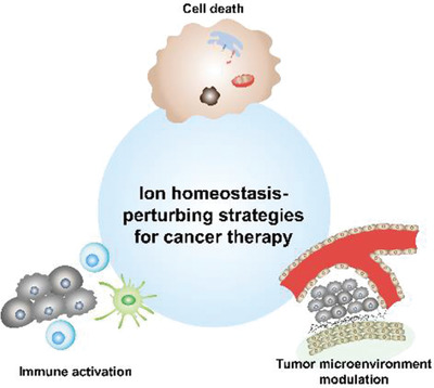 Strategies of Perturbing Ion Homeostasis for Cancer Therapy