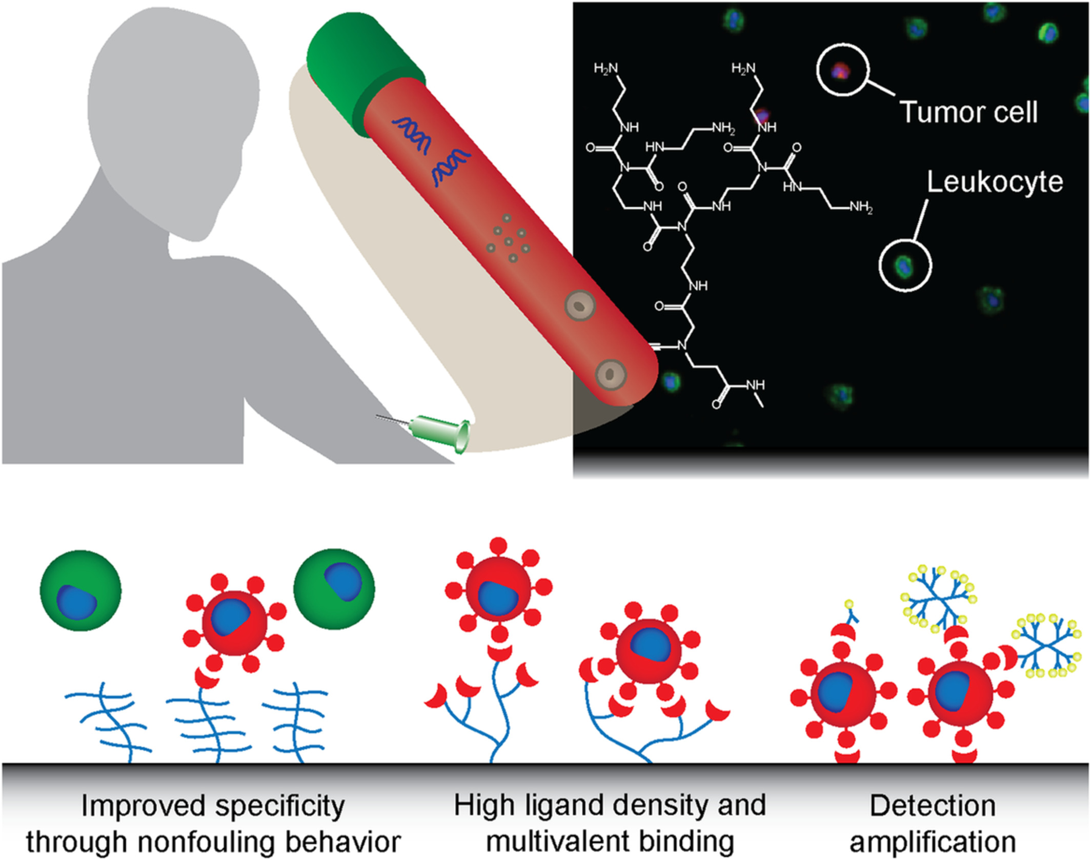 Branched, dendritic, and hyperbranched polymers in liquid biopsy device design