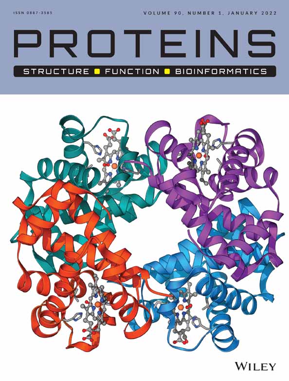 The Dynamic Basis of Structural Order in Proteins