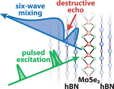 Destructive Photon Echo Formation in Six‐Wave Mixing Signals of a MoSe2 Monolayer