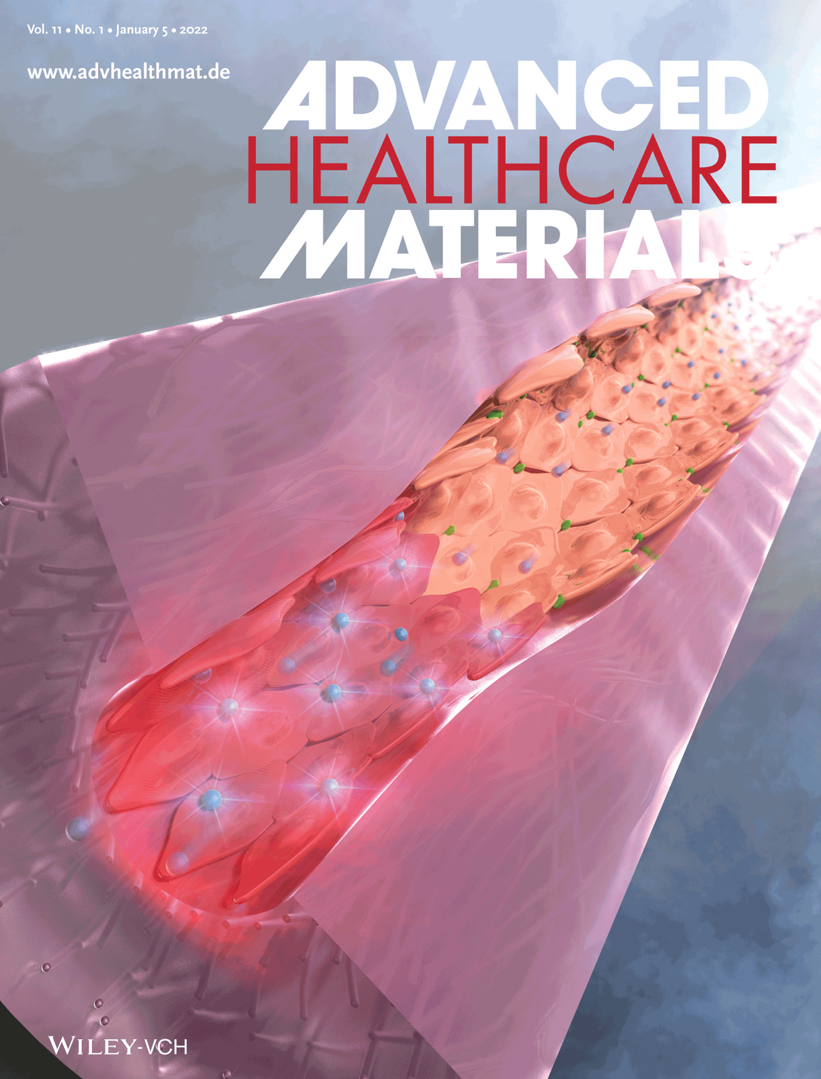 Flexibly Deformable Collagen Hydrogel Tube Reproducing Immunological Tissue Deformation of Blood Vessels as a Pharmacokinetic Testing Model (Adv. Healthcare Mater. 1/2022)