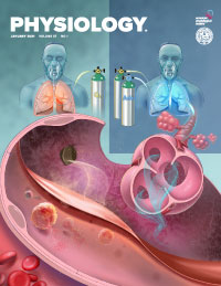 Pathophysiology of Hemorrhage as It Relates to the Warfighter