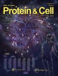 Structural and molecular basis for foot-and-mouth disease virus neutralization by two potent protective antibodies