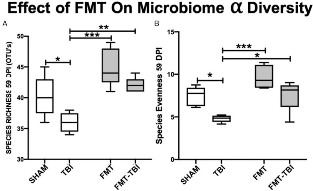 Fecal Microbiota Transfer Attenuates Gut Dysbiosis and Functional Deficits After Traumatic Brain Injury
