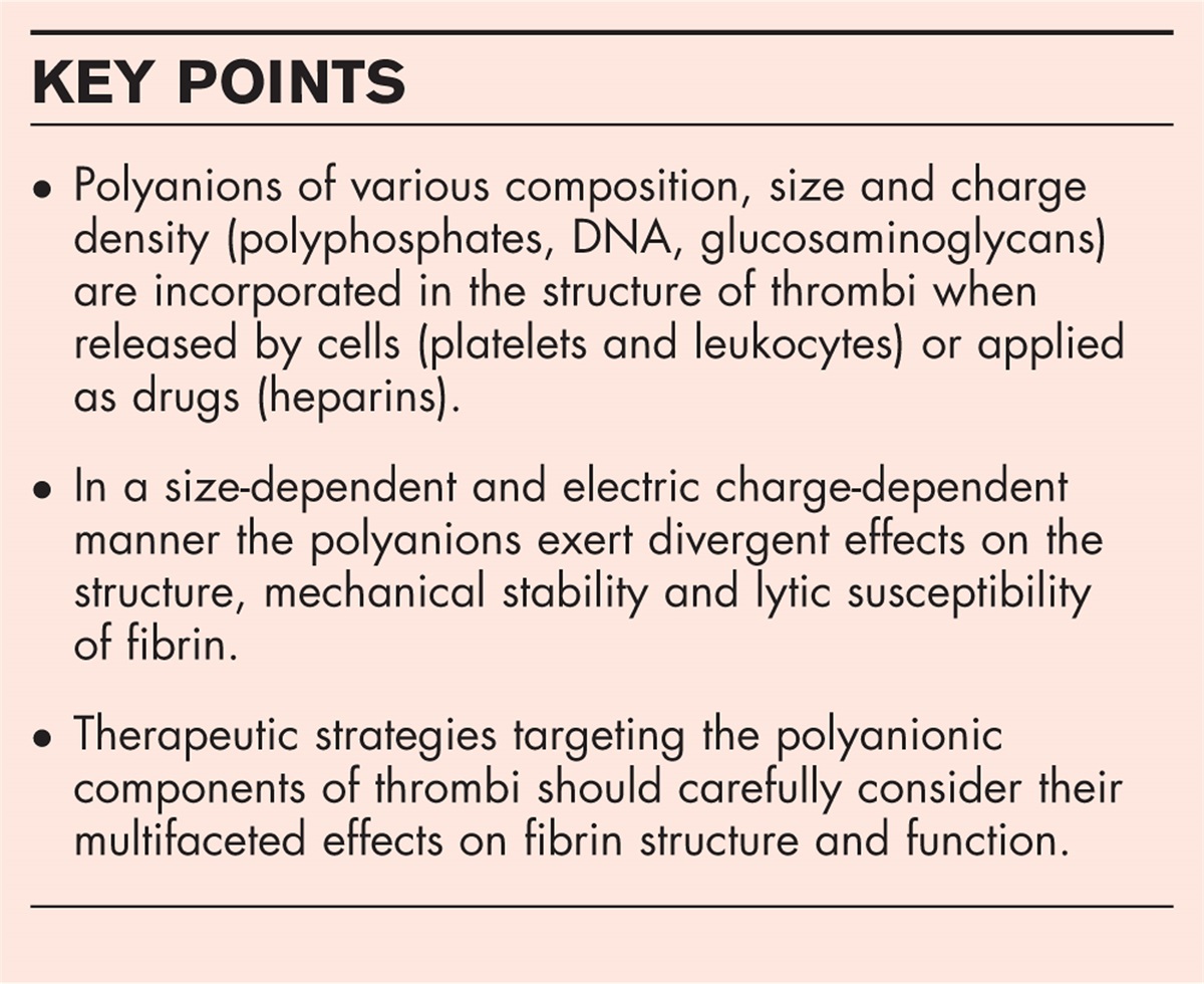 Fibrin structure, viscoelasticity and lysis face the interplay of biorelevant polyions