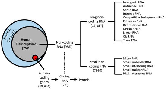 ncRNA, Vol. 8, Pages 59: Long Non-Coding RNAs: The New Frontier into Understanding the Etiology of Alcohol Use Disorder