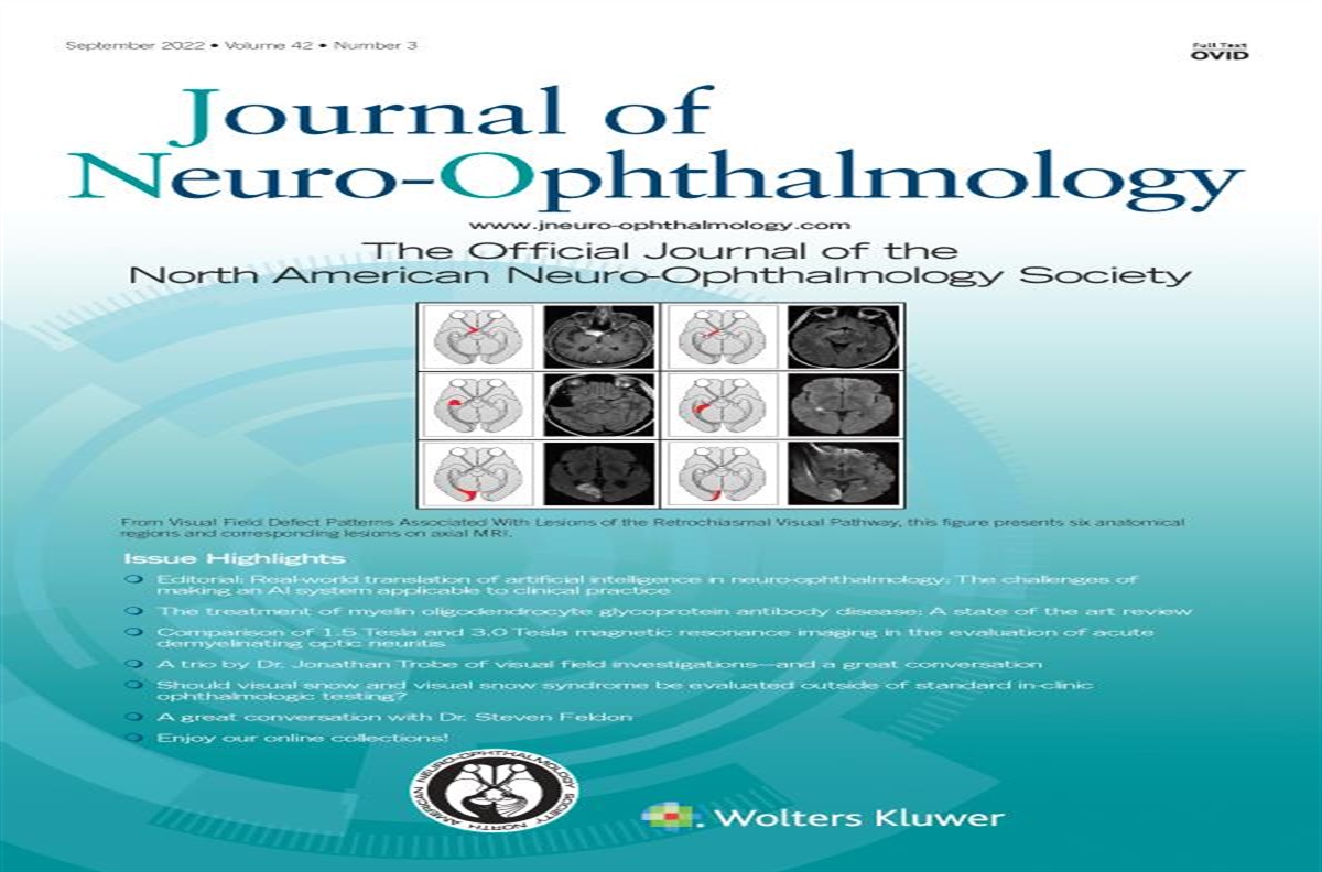 Real-World Translation of Artificial Intelligence in Neuro-Ophthalmology: The Challenges of Making an Artificial Intelligence System Applicable to Clinical Practice