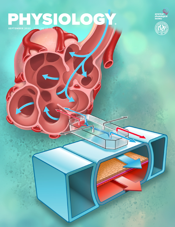 Promoting Nerve Regeneration: Electrical Stimulation, Gene Therapy, and Beyond