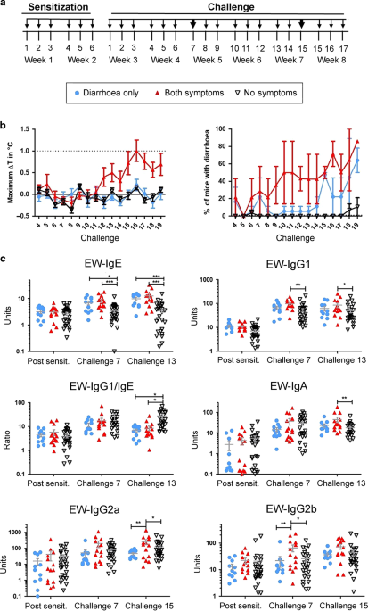 B-cell receptor physical properties affect relative IgG1 and IgE responses in mouse egg allergy