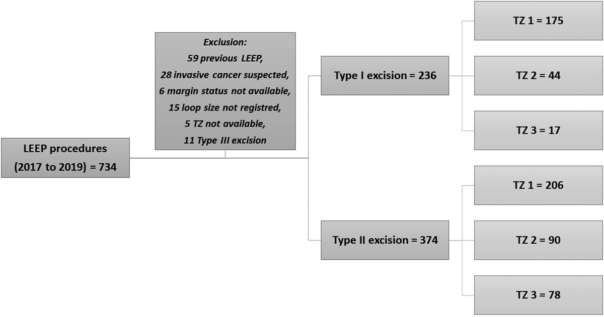 Endocervical Margins Status in Excision for Preventing Cervical Cancer According to the Transformation Zone Type