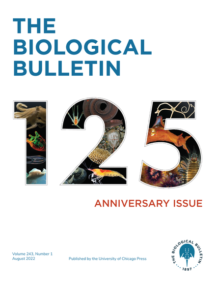 Experimental Evolution Shows Body Size Decrease in Response to Hypoxia, with a Complex Effect on Plastic Size Response to Temperature