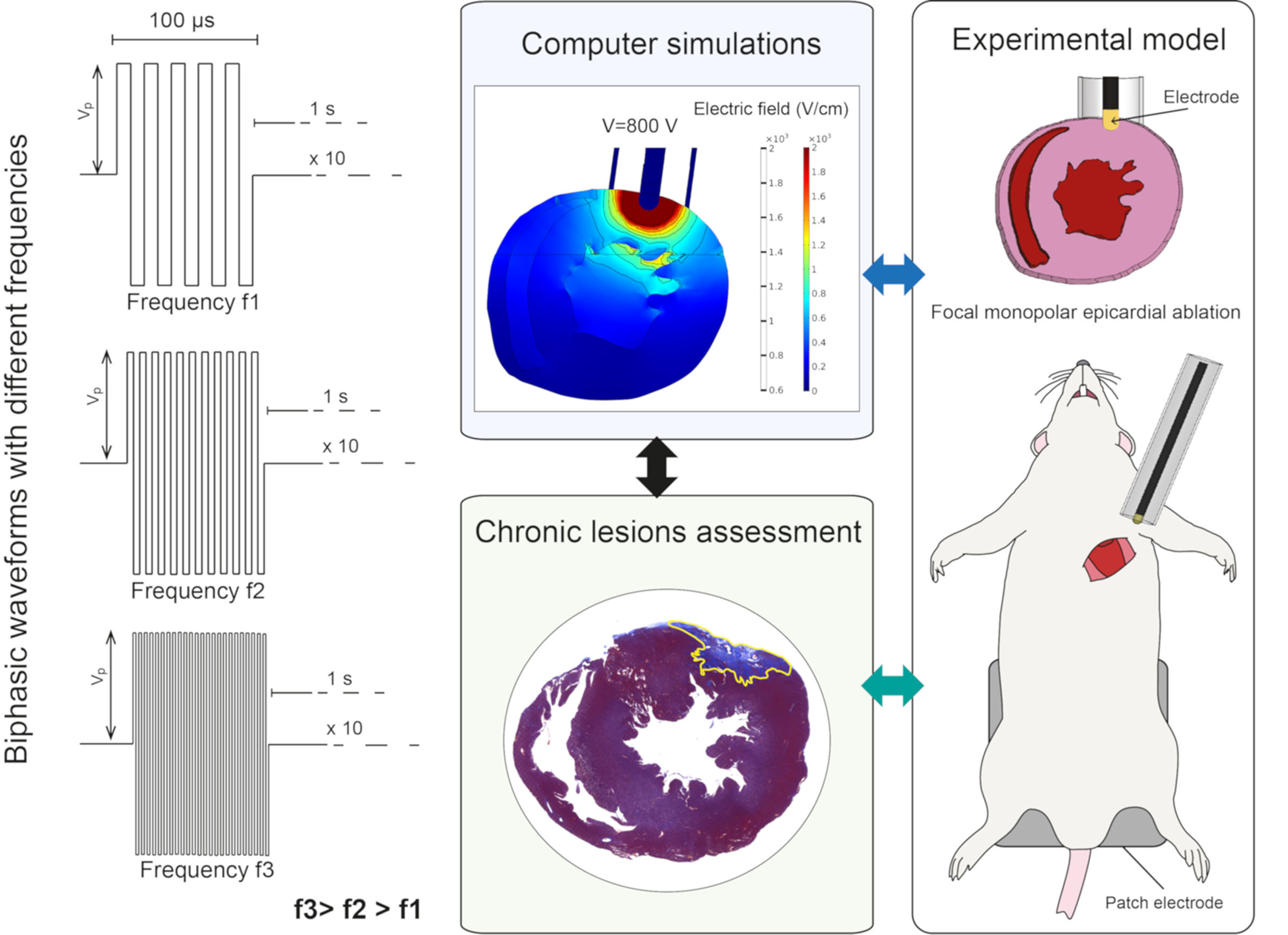 Parametric Study of Pulsed Field Ablation With Biphasic Waveforms in an In Vivo Heart Model: The Role of Frequency