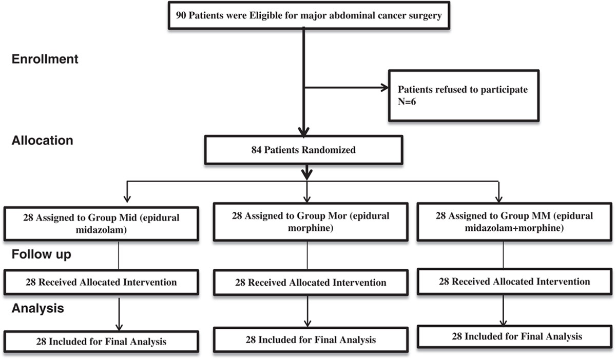 Effect of Combined Epidural Morphine and Midazolam on Postoperative Pain in Patients Undergoing Major Abdominal Cancer Surgery