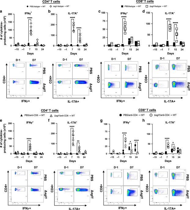 Vaccine protection by Cryptococcus neoformans Δsgl1 is mediated by γδ T cells via TLR2 signaling