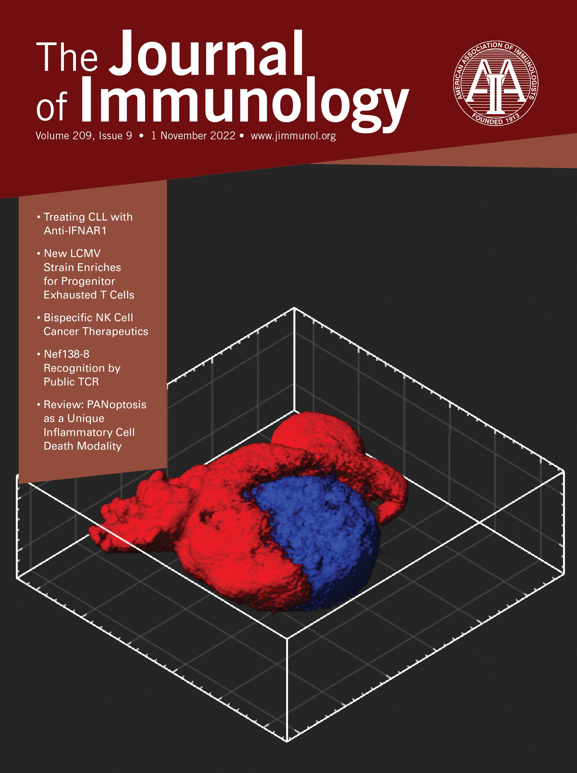 Polarization and {beta}-Glucan Reprogram Immunomodulatory Metabolism in Human Macrophages and Ex Vivo in Human Lung Cancer Tissues [CLINICAL AND HUMAN IMMUNOLOGY]