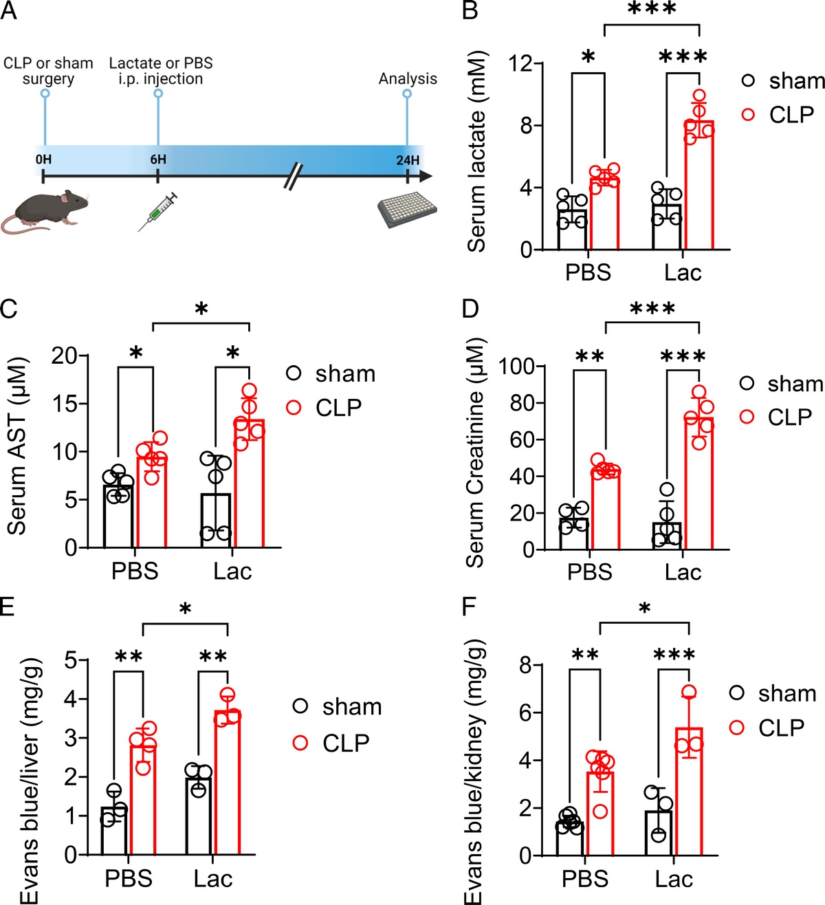 LACTATE IMPAIRS VASCULAR PERMEABILITY BY INHIBITING HSPA12B EXPRESSION VIA GPR81-DEPENDENT SIGNALING IN SEPSIS