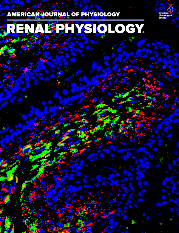 The proximal tubule through an NBCe1-dependent mechanism regulates collecting duct phenotypic and remodeling responses to acidosis