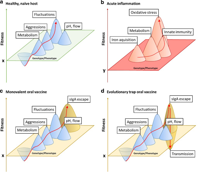 Resistance is futile? Mucosal immune mechanisms in the context of microbial ecology and evolution