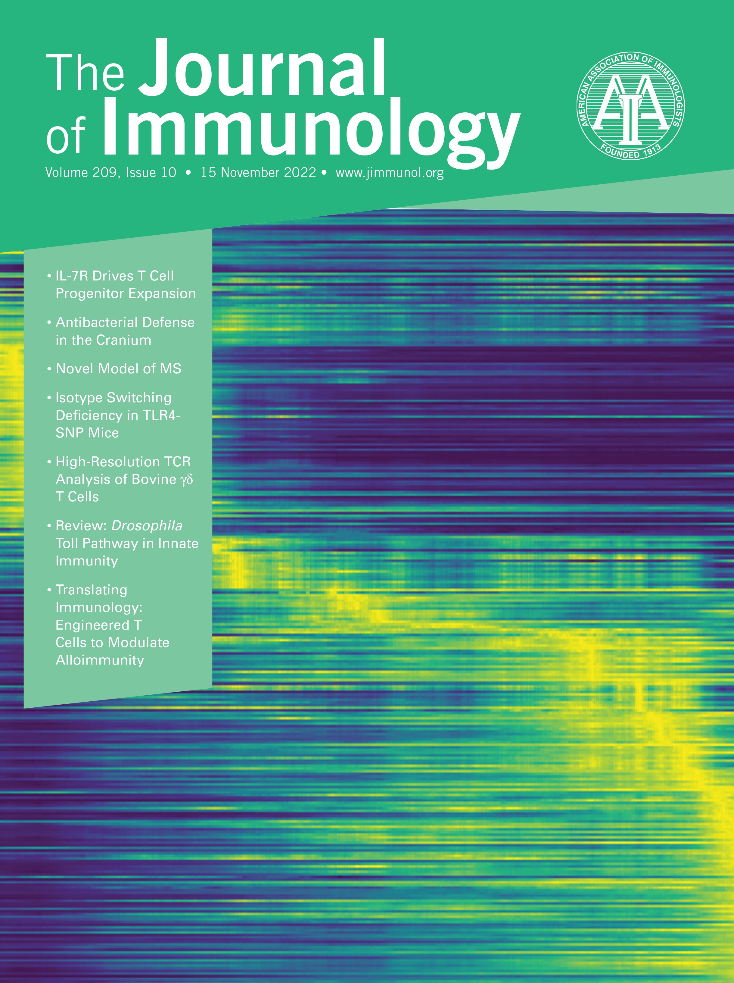 Cytomegalovirus Seropositivity in Older Adults Changes the T Cell Repertoire but Does Not Prevent Antibody or Cellular Responses to SARS-CoV-2 Vaccination [CLINICAL AND HUMAN IMMUNOLOGY]