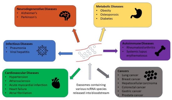 ncRNA, Vol. 8, Pages 75: Exosome RNA Sequencing as a Tool in the Search for Cancer Biomarkers