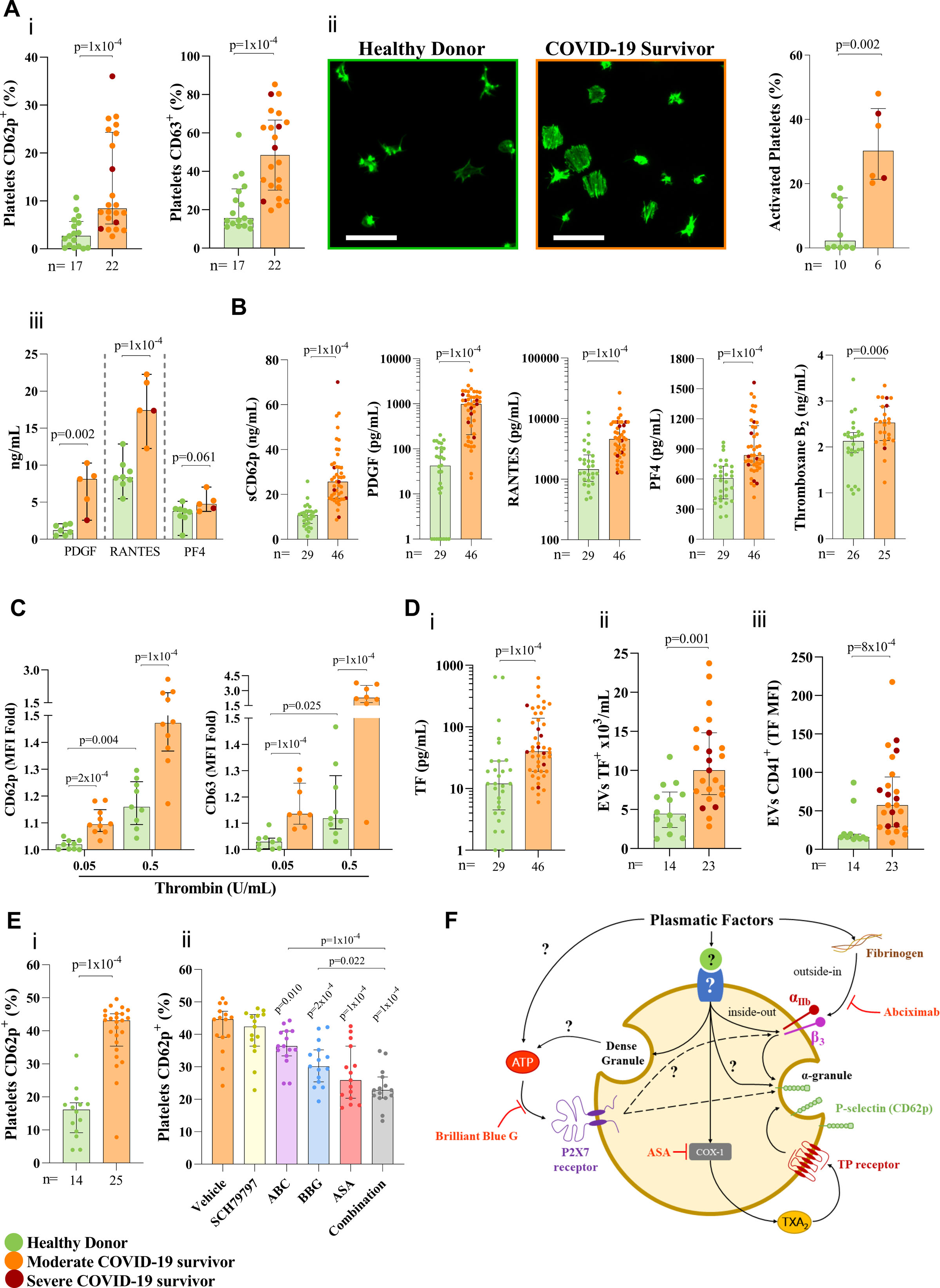 Persisting Platelet Activation and Hyperactivity in COVID-19 Survivors