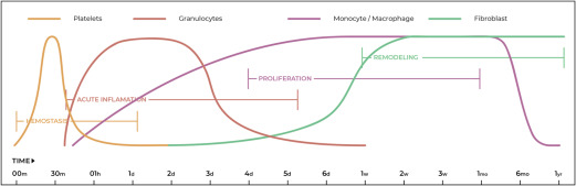 Orthobiologic Treatment of Ligament Injuries