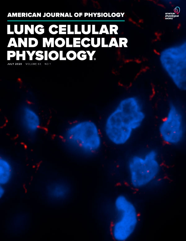 Activation of TREK-1 (K2P2.1) Potassium Channels Protects Against Influenza A-Induced Lung Injury