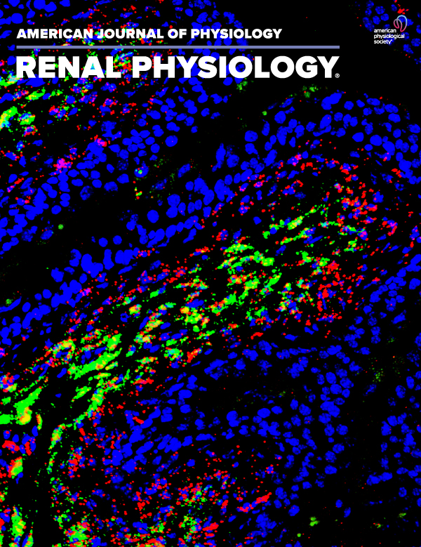 Abnormal glomerular basement membrane maturation impairs mesangial cell differentiation during murine postnatal nephrogenesis