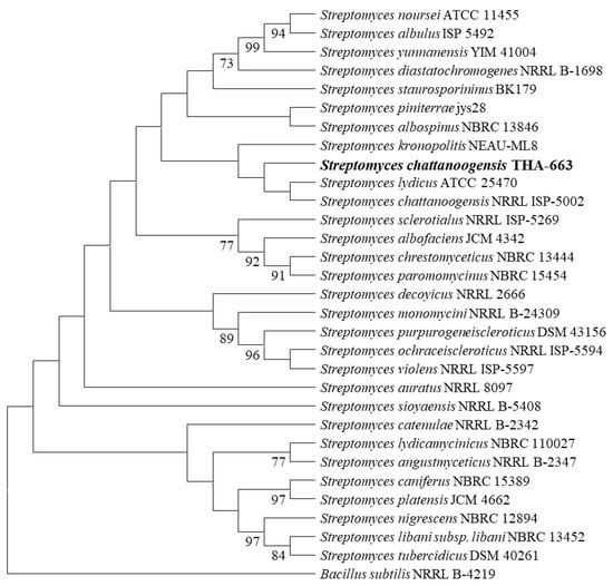 Cosmetics, Vol. 9, Pages 126: Streptomyces spp. Isolated from Rosa davurica Rhizome for Potential Cosmetic Application