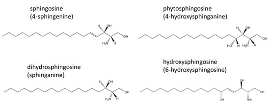 Cosmetics, Vol. 9, Pages 125: Experimental Study of the Reduction in Ceramide Content in Fingernails Due to Nail Polish Remover Use