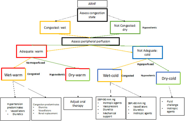 How to Treat Right Heart Failure. Tips for Clinicians in Everyday Practice